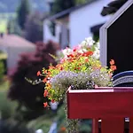 An Der Sonne & Restaurant Zum Schneiger Schoenwald im Schwarzwald