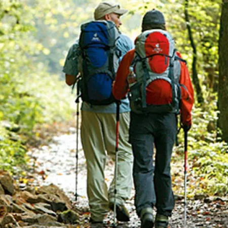 An Der Sonne & Restaurant Zum Schneiger 3*