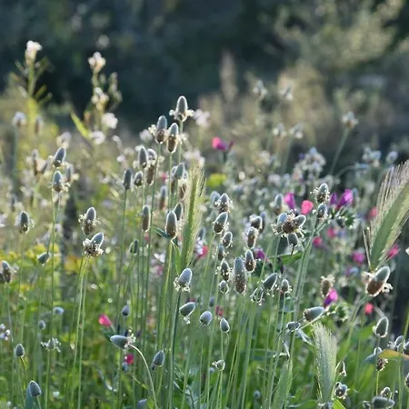 An Der Sonne & Restaurant Zum Schneiger Szálloda