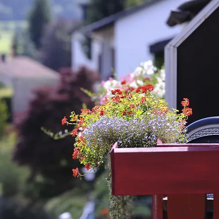 An Der Sonne & Restaurant Zum Schneiger ホテル