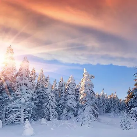 An Der Sonne & Restaurant Zum Schneiger 3* Schönwalde