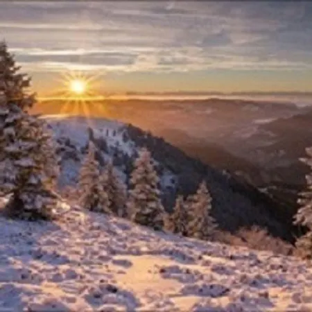 An Der Sonne & Restaurant Zum Schneiger 3*