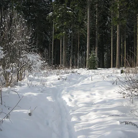 An Der Sonne & Restaurant Zum Schneiger 3* Schoenwald im Schwarzwald